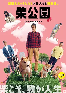 精品国产三上悠亚在线观看