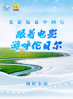 二区三区在线观看